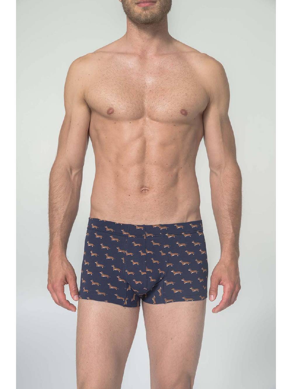 Julipet Boxer in cotone bielastico stampato Online
