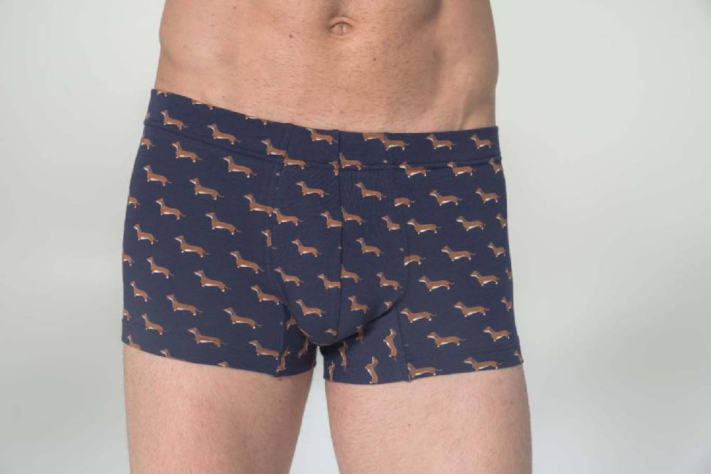 Julipet Boxer in cotone bielastico stampato Online