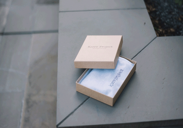 Kjøre Project Draw Card Case Evolution Wallet 2025