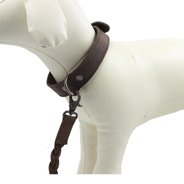 Kjøre Project Leather Dog Collar & Leash Vendita Economica