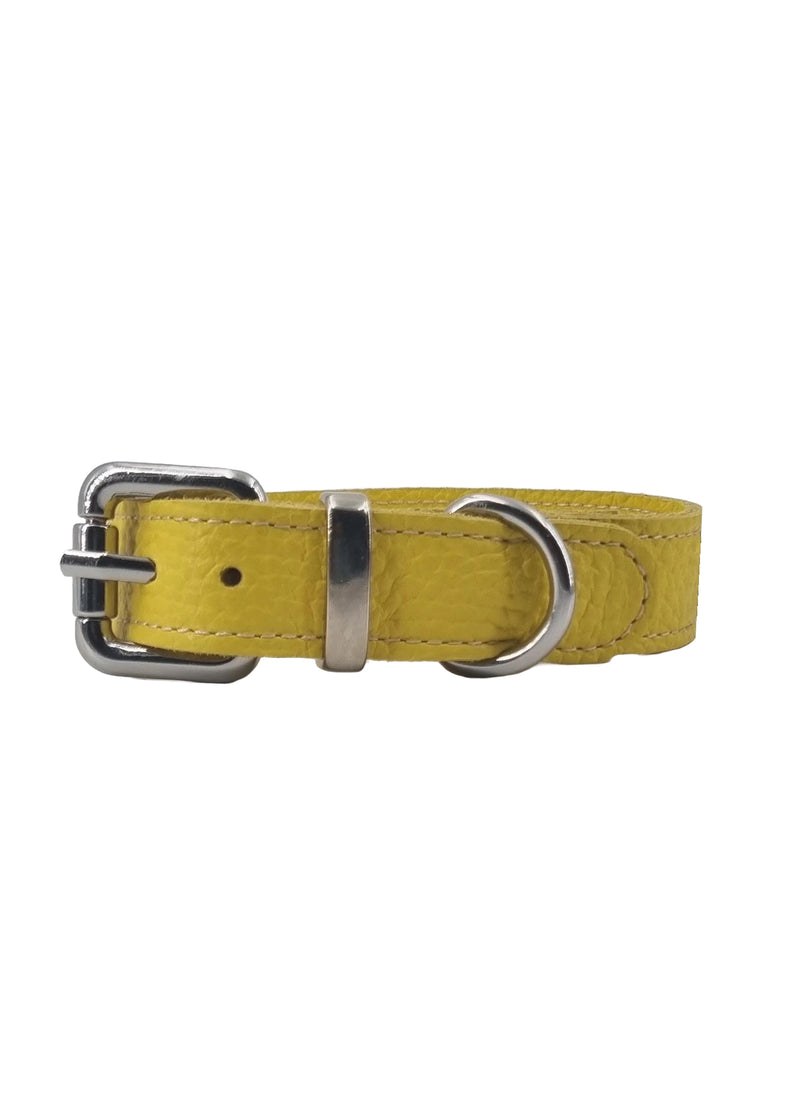 Paola T. Collare diamond Promozione Limitata