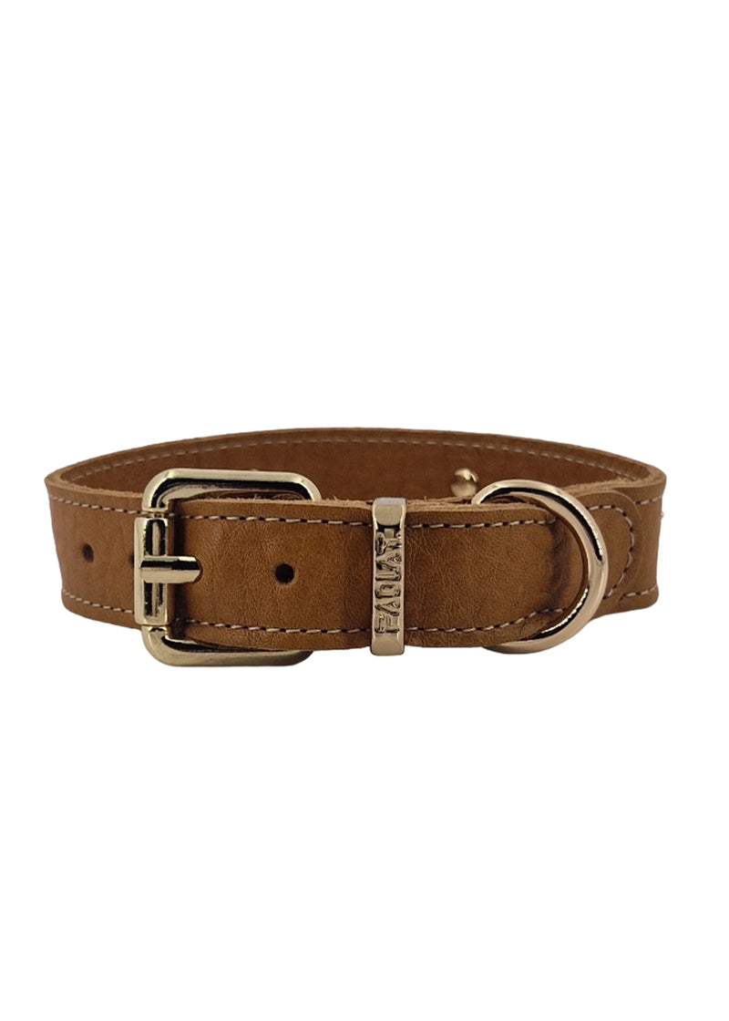 Paola T. Collare stella Flash Sale
