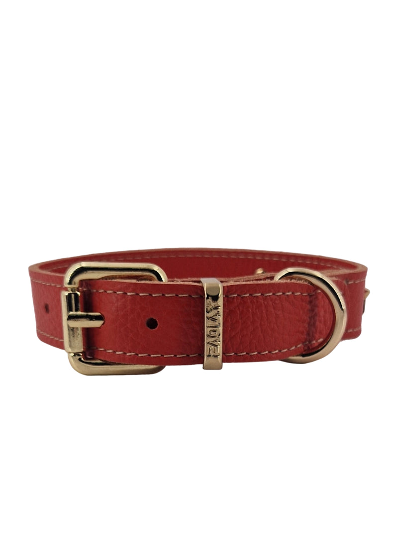 Paola T. Collare stella Shopping online