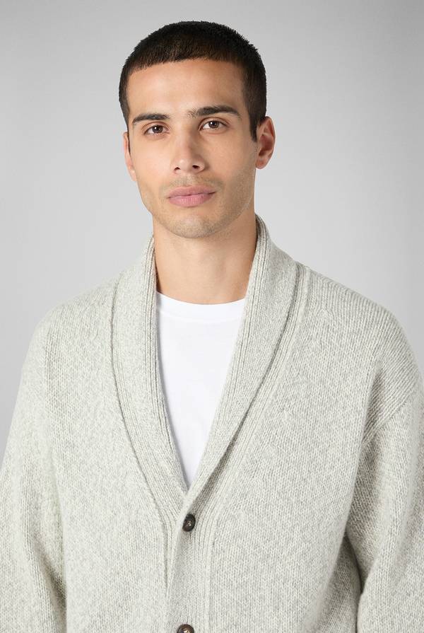 Pull Pal Zileri Cardigan in alpaca Italia