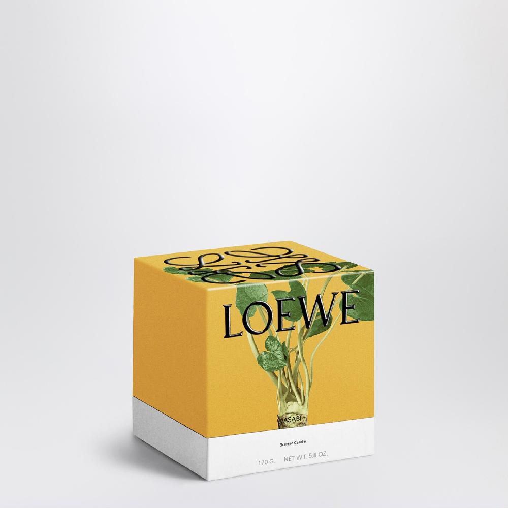 Loewe Candela Wasabi piccola gialla Economico