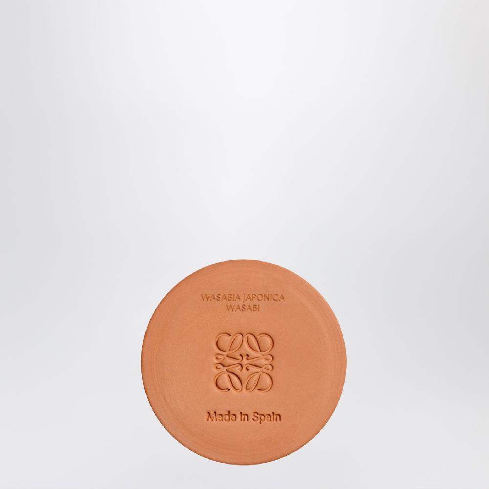 Loewe Candela Wasabi piccola gialla Economico