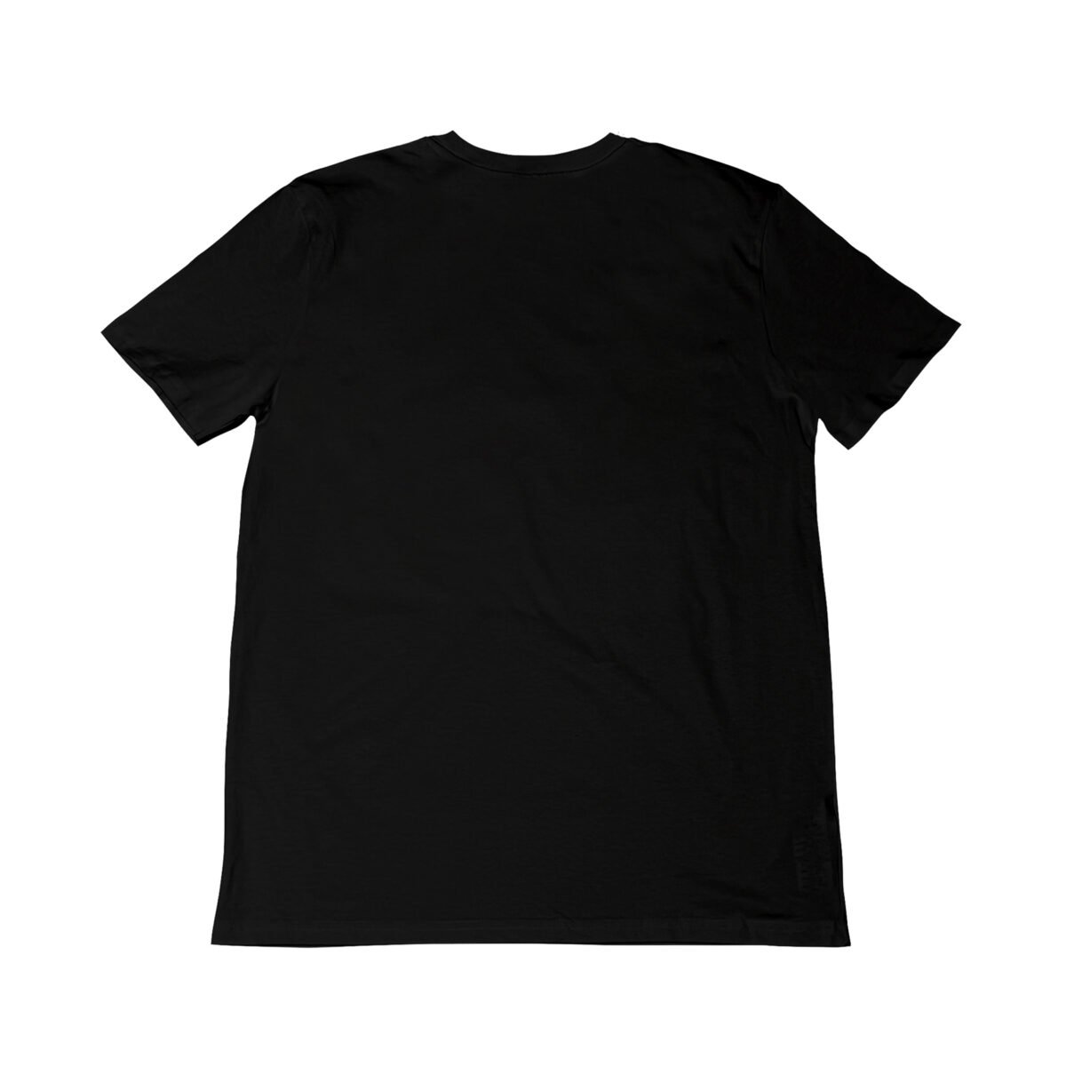 Seetees Painter t-shirt della capsule This Is Art in cotone organico vegano Presa