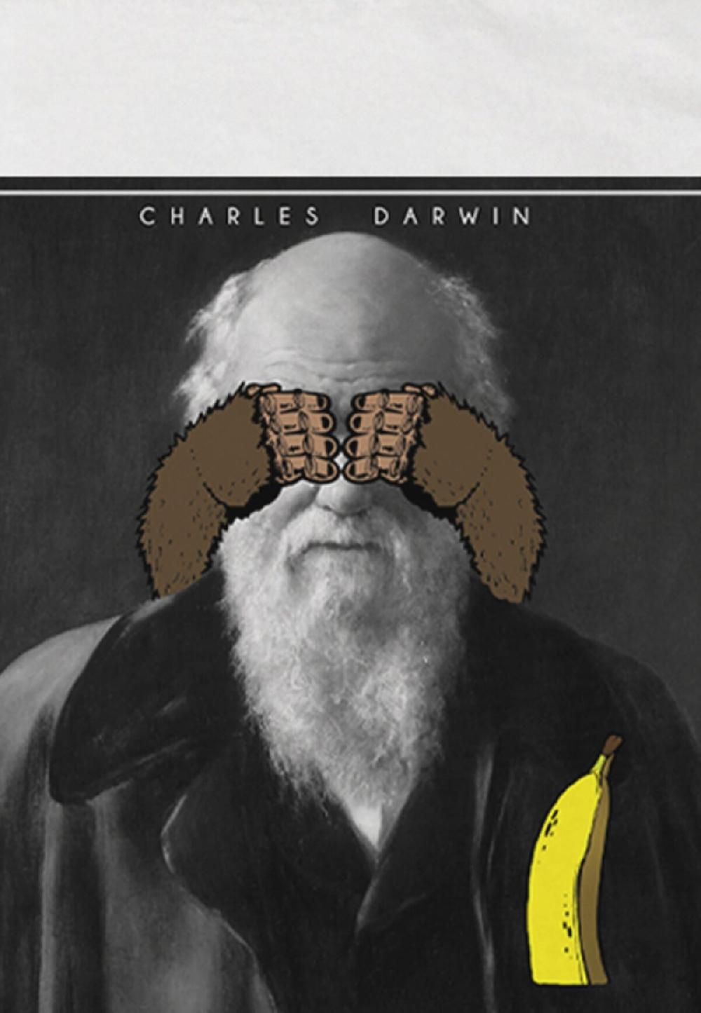 Seetees Darwin Soddisfazione Garantita